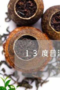 13度普洱茶/2023101639492