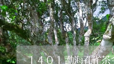 1401勐海孔雀茶今日行情/2023052698620