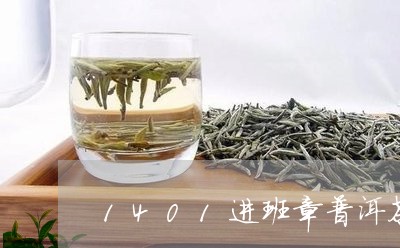 1401进班章普洱茶/2023080105948