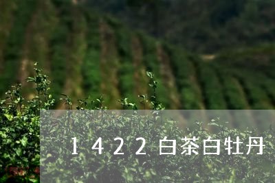 1422白茶白牡丹/2023120566350