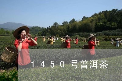 1450号普洱茶/2023101679492