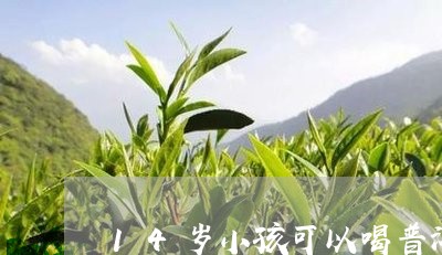 14岁小孩可以喝普洱茶吗/2023081521597