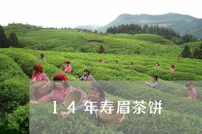 14年寿眉茶饼/2023112441514