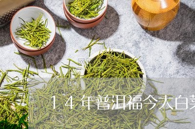 14年普洱福今大白菜普洱茶/2023052730515