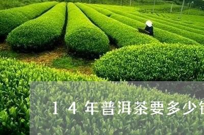 14年普洱茶要多少钱/2023092718383