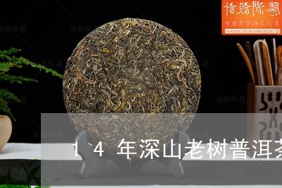 14年深山老树普洱茶/2023062798381