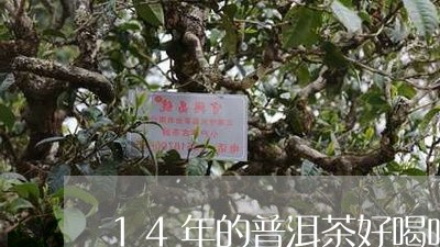 14年的普洱茶好喝吗/2023062137506