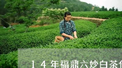 14年福鼎六妙白茶什么价/2023111582916