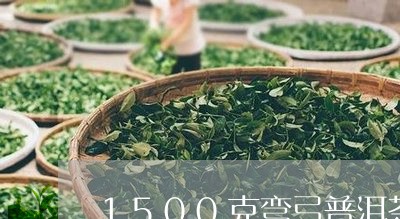 1500克弯弓普洱茶官方旗舰店/2023082696141