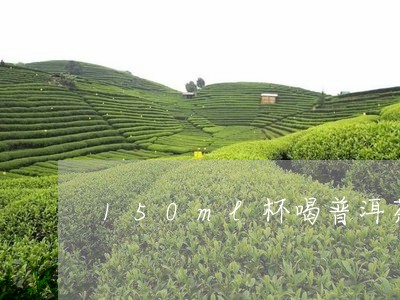 150ml杯喝普洱茶/2023072450535