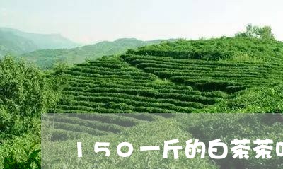 150一斤的白茶茶叶/2023092792716