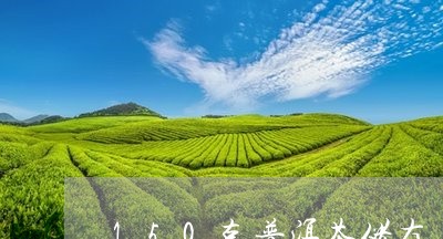 150克普洱茶储存/2023101679704