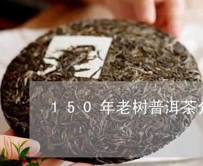 150年老树普洱茶介绍/2023122008472
