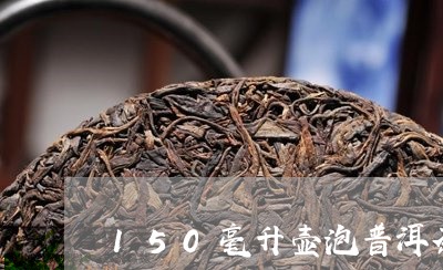 150毫升壶泡普洱茶/2023101739504