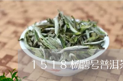 1518杨聘号普洱茶/2023100547047