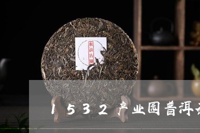 1532产业园普洱茶/2023100531704