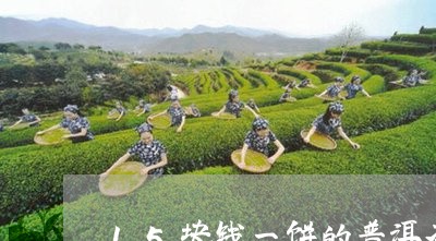 15块钱一饼的普洱茶/2023061473837