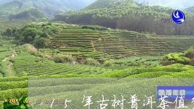 15年古树普洱茶值多少钱/2023051088470