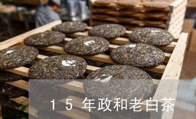 15年政和老白茶/2023090895048