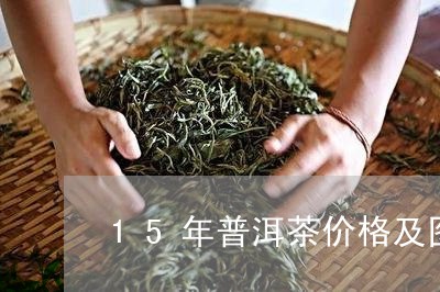 15年普洱茶价格及图片/2023050614728