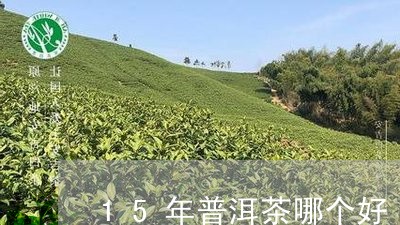 15年普洱茶哪个好/2023101719694