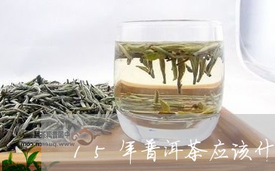 15年普洱茶应该什么颜色/2023110562615