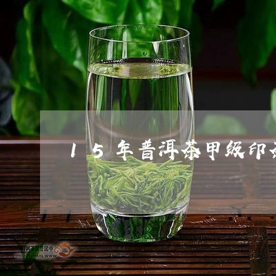 15年普洱茶甲级印茶/2023080258590