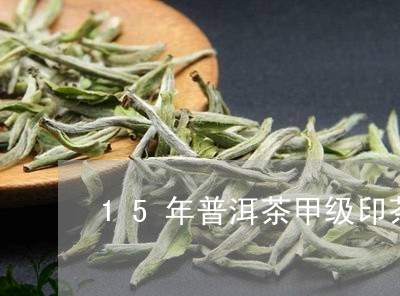 15年普洱茶甲级印茶/2023100749382