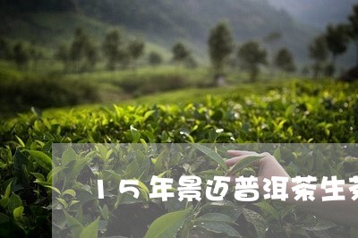 15年景迈普洱茶生茶/2023101716937