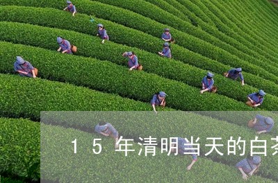 15年清明当天的白茶/2023092791694