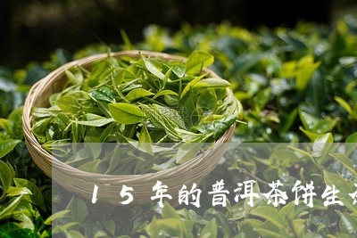 15年的普洱茶饼生茶/2023062368715