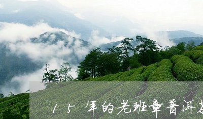 15年的老班章普洱茶多少钱一克/2023060230604