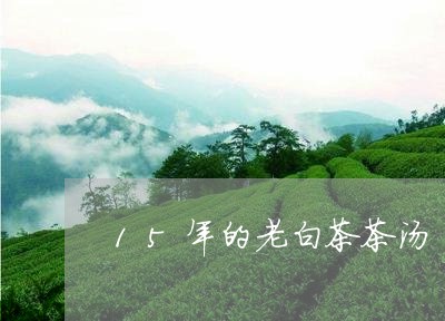 15年的老白茶茶汤/2023071301803