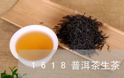 1618普洱茶生茶/2023091531937