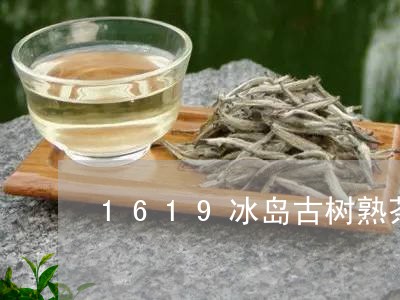 1619冰岛古树熟茶/2023092314957