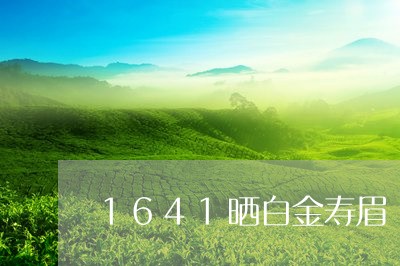 1641晒白金寿眉/2023091347269