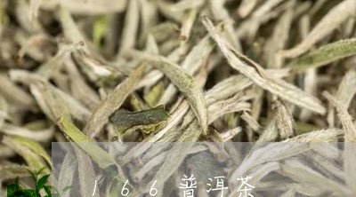 166普洱茶/2023042873756