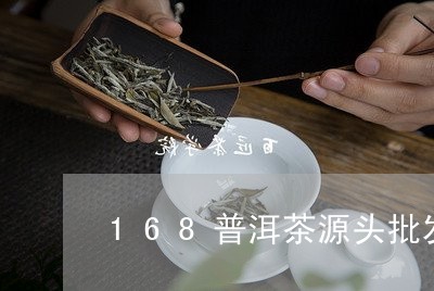 168普洱茶源头批发/2023120602936