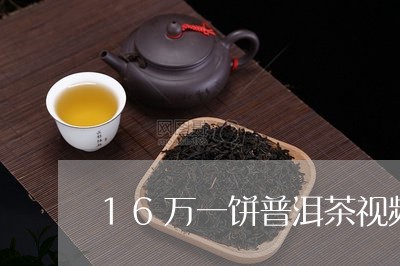 16万一饼普洱茶视频/2023080138404