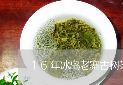 16年冰岛老寨古树茶/2023092265059