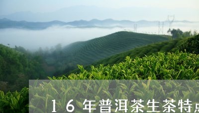 16年普洱茶生茶特点/2023100759463