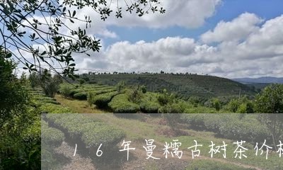 16年曼糯古树茶价格/2023092127493