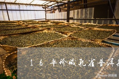 16年珍藏孔雀普洱茶/2023080173928