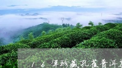 16年珍藏孔雀普洱茶价格表/2023102506270