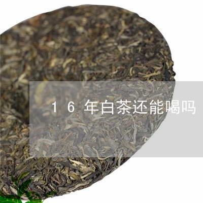 16年白茶还能喝吗/2023071394379