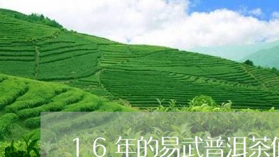 16年的易武普洱茶值钱吗/2023112581816