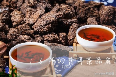 16年的普洱茶品质怎么样/2023112981604