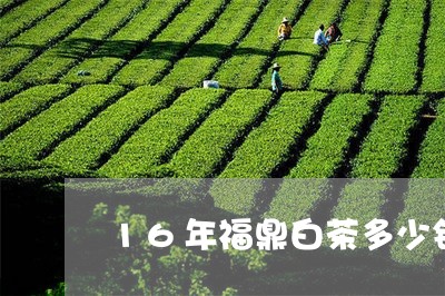 16年福鼎白茶多少钱/2023120899481