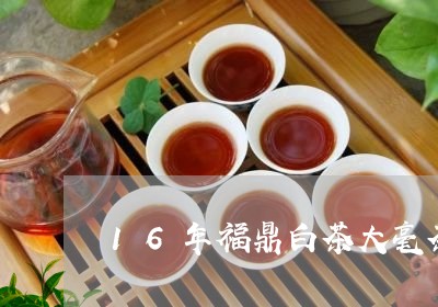 16年福鼎白茶大毫茶/2023092096370