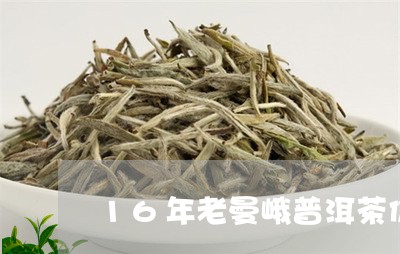 16年老曼峨普洱茶价/2023092670894